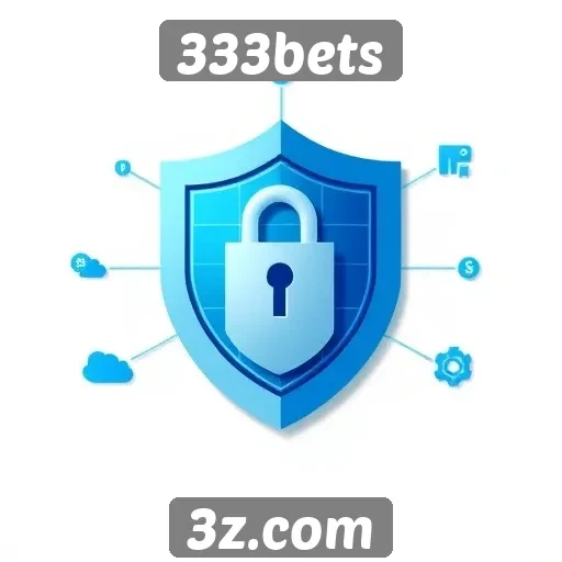 Análise da segurança no site 333bets